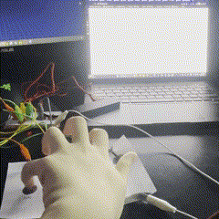 This is the first circuit with the visuals of the first p5 sketch being displayed on the screen.