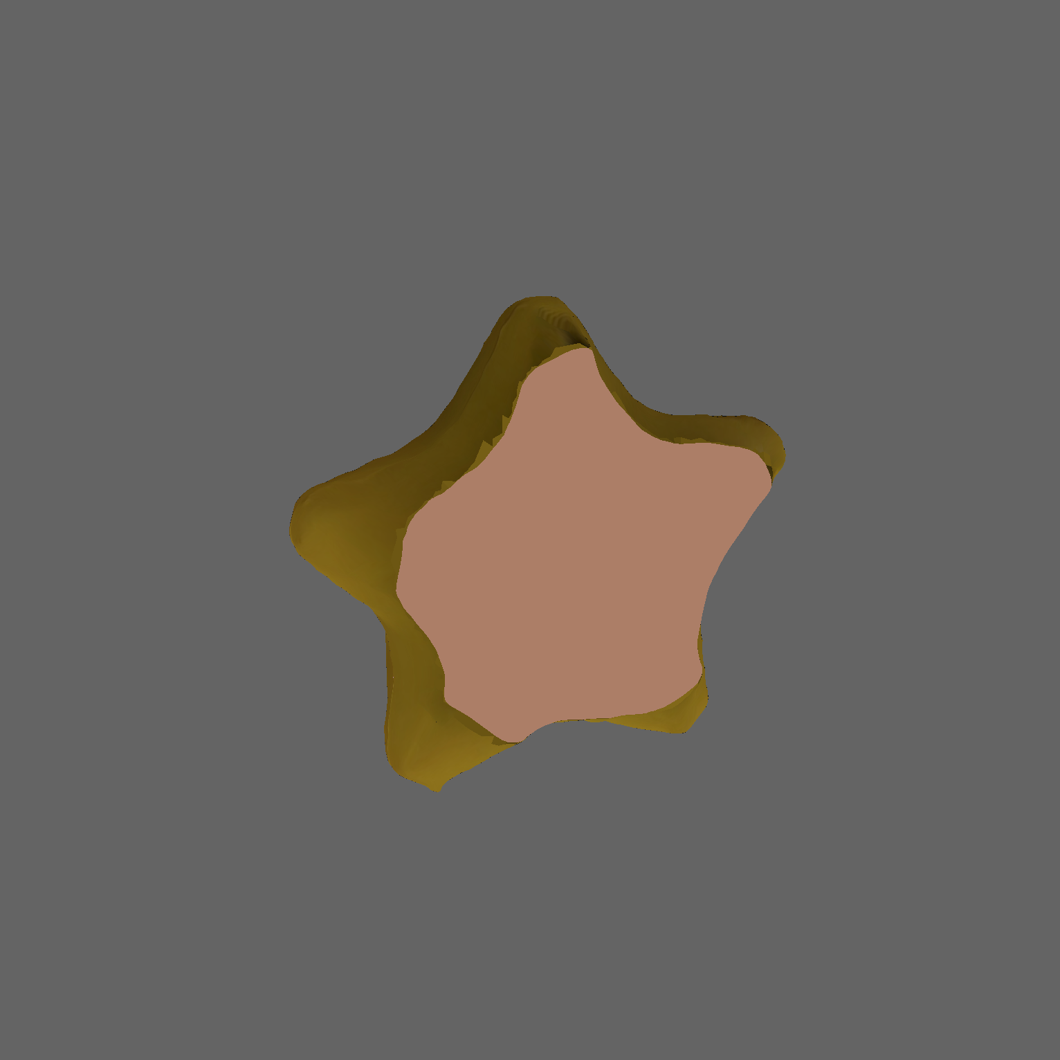 Star Meshmixer angle 1